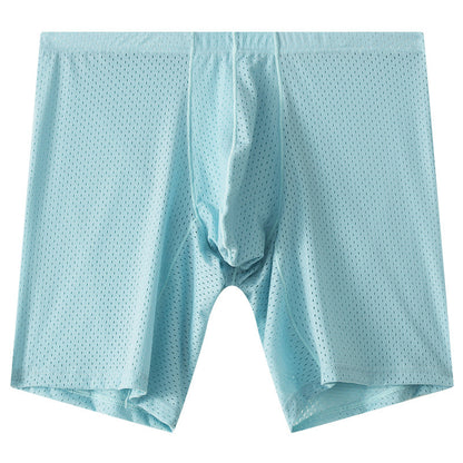 Men's Mesh Underwear Transparent Lengthened Boxers