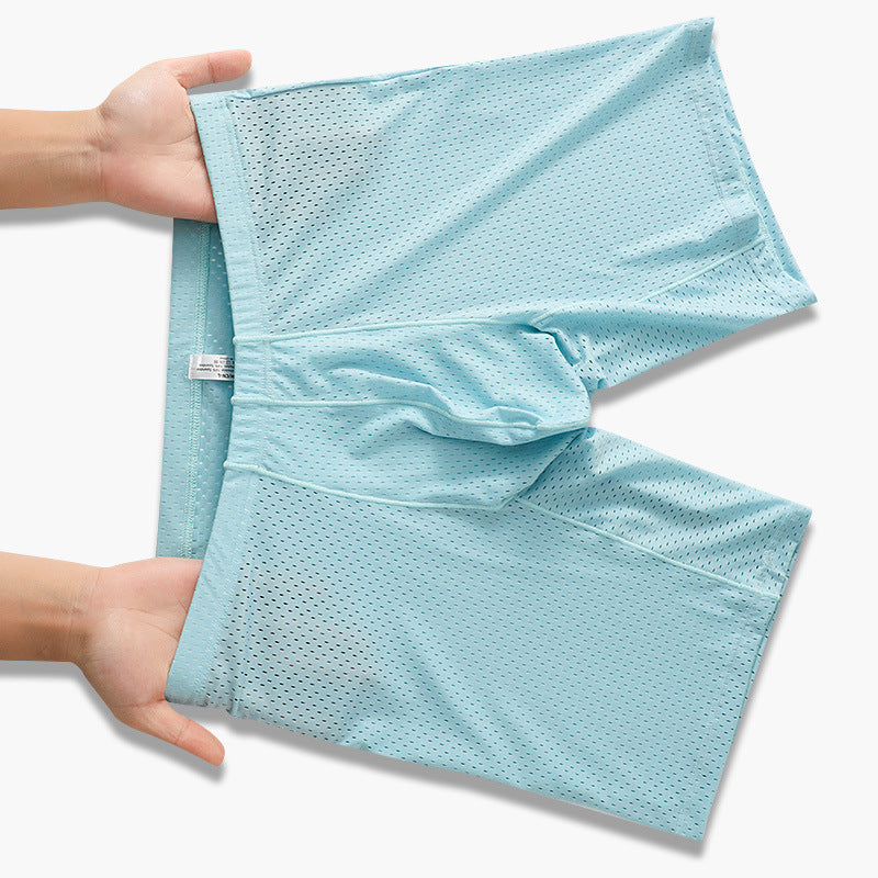 Men's Mesh Underwear Transparent Lengthened Boxers