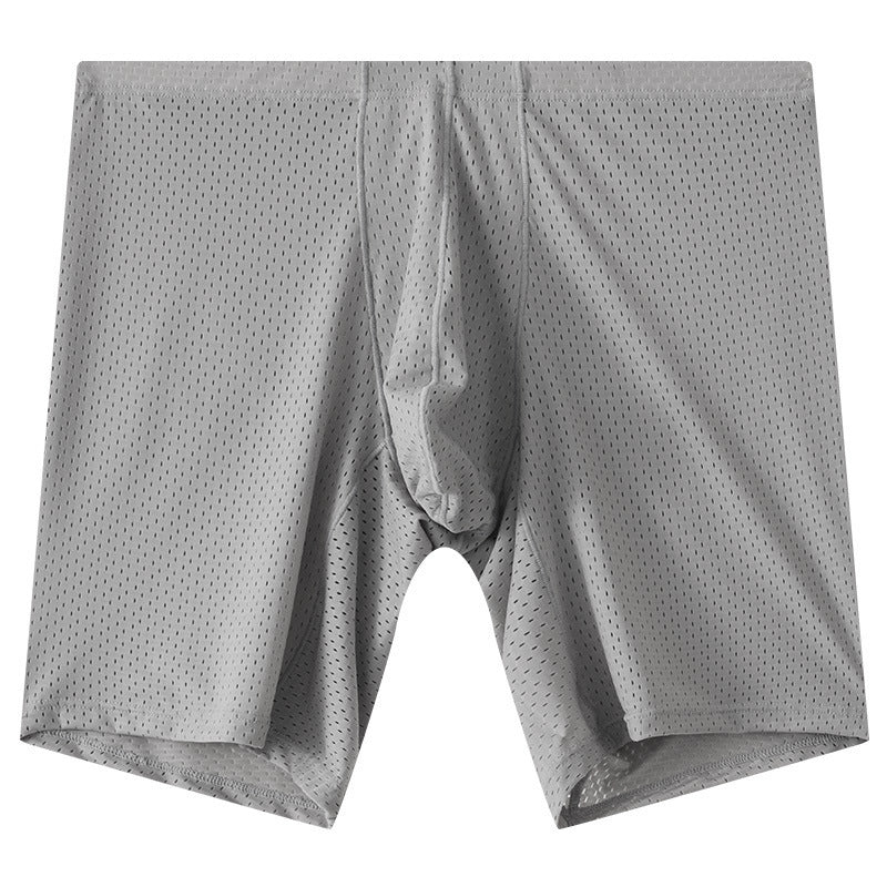 Men's Mesh Underwear Transparent Lengthened Boxers