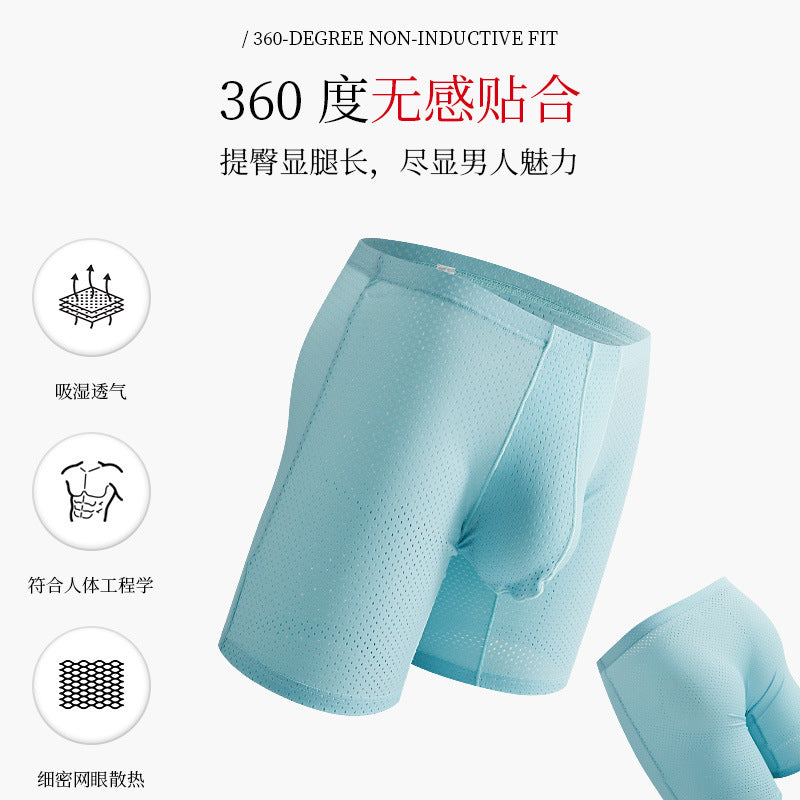 Men's Mesh Underwear Transparent Lengthened Boxers