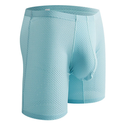 Men's Mesh Underwear Transparent Lengthened Boxers