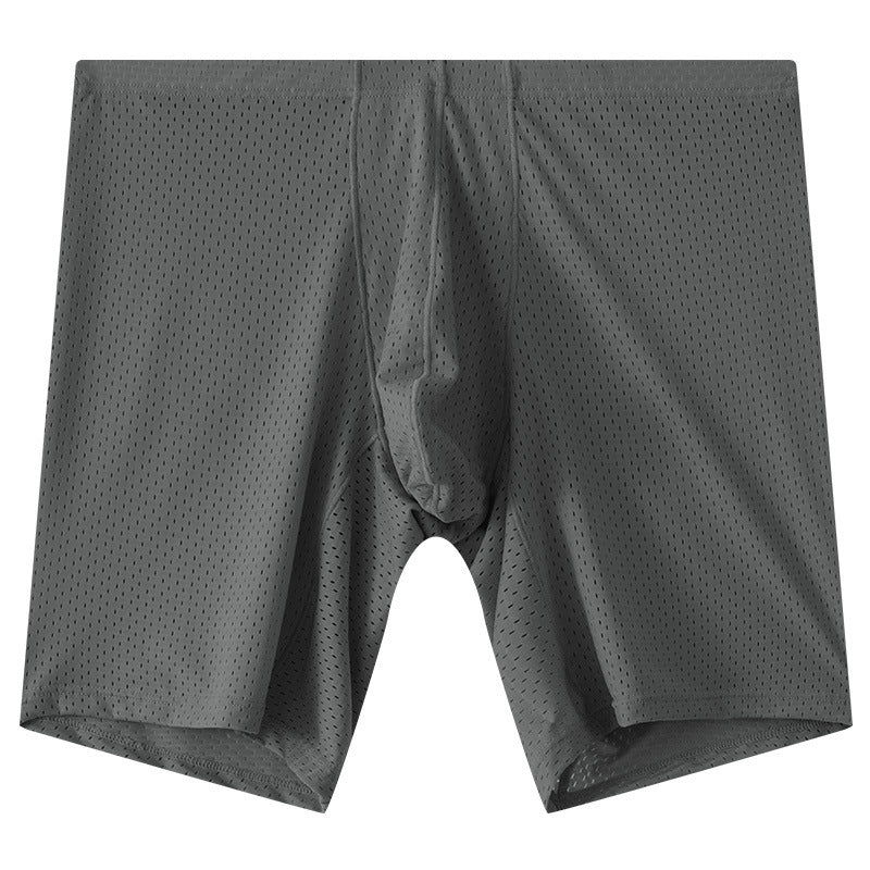 Men's Mesh Underwear Transparent Lengthened Boxers