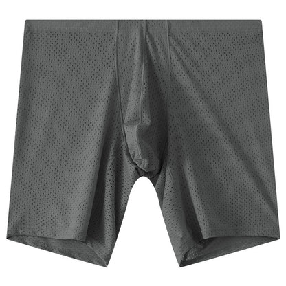 Men's Mesh Underwear Transparent Lengthened Boxers