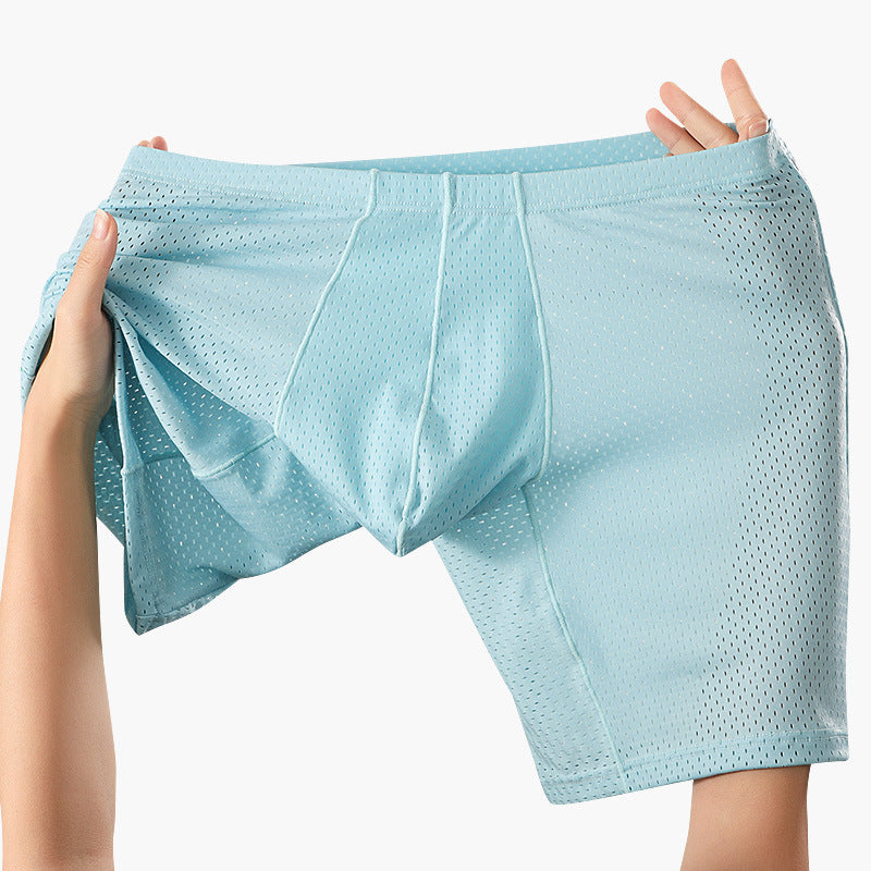 Men's Mesh Underwear Transparent Lengthened Boxers