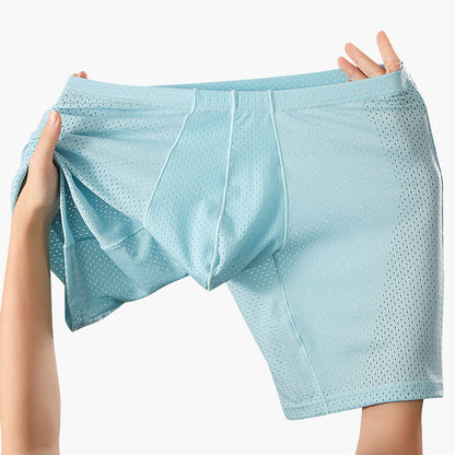 Men's Mesh Underwear Transparent Lengthened Boxers