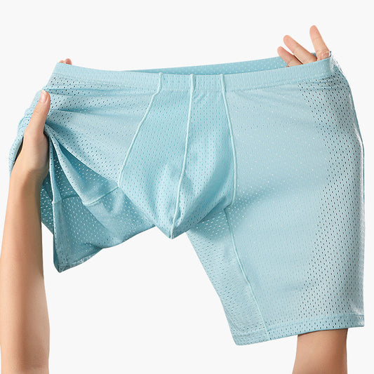 Men's Mesh Underwear Transparent Lengthened Boxers