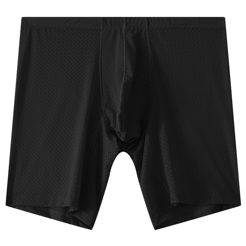 Men's Mesh Underwear Transparent Lengthened Boxers