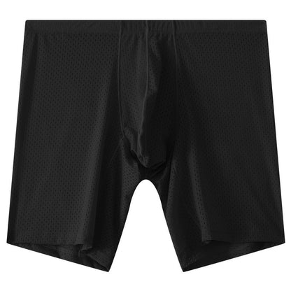 Men's Mesh Underwear Transparent Lengthened Boxers