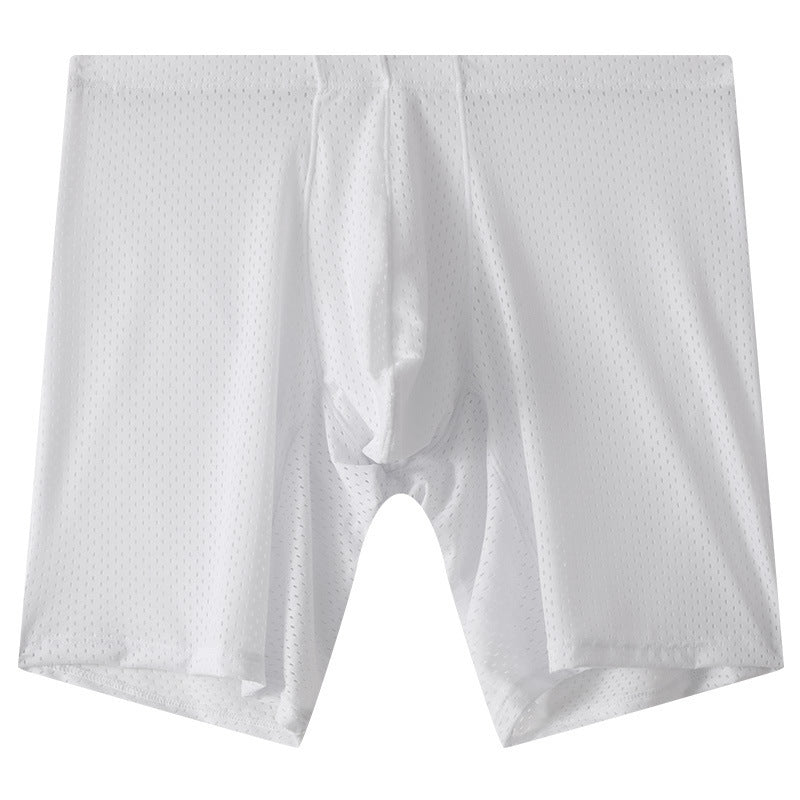 Men's Mesh Underwear Transparent Lengthened Boxers