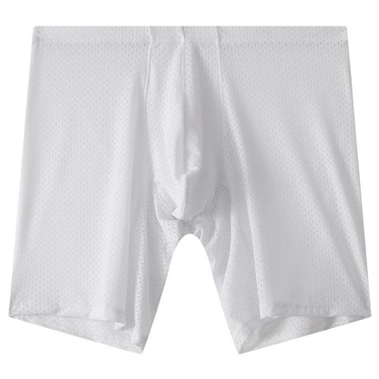 Men's Mesh Underwear Transparent Lengthened Boxers